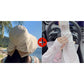 👒 💐 Women's Bowknot Wide Brim Sun Protective Hat – Oversized wide brim blocks UV rays, delicate bow decor, lightweight breathable fabric, ideal for beach, travel & outdoor walking✨