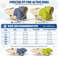 ☔ Waterproof Colorblock Dog Raincoat – Windproof, Breathable, Full Protection ✨