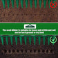 🌱 12-Hole Seed Planting Tool – Create Perfectly Spaced Rows in Seconds 🌟
