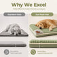 🛏️ Your dog deserves better than a flat, worn-out bed. This plush mat gives them cloud‑soft comfort — and better sleep. 🐶😴
